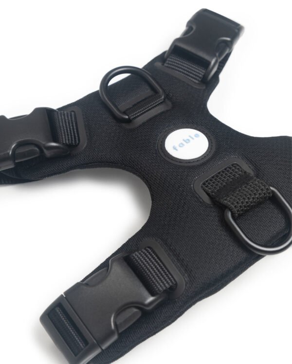 Signature Harness