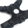 Signature Harness