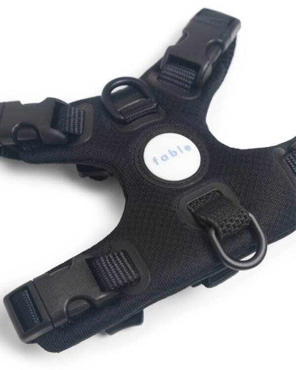 Signature Harness