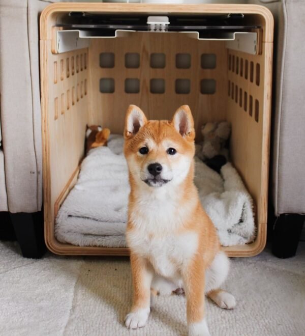 theshiba_nikita Crate