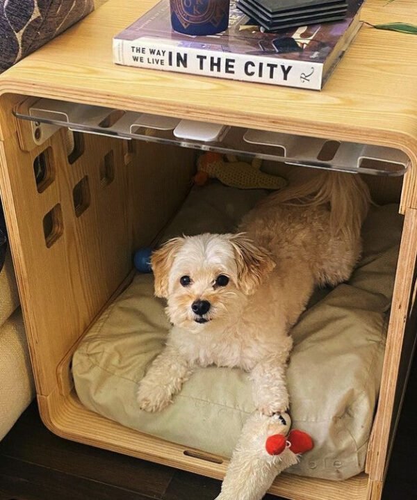 withlovefromcharlie Crate